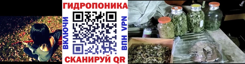 Гашиш Туран