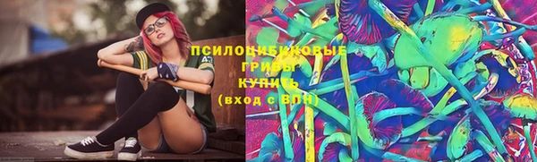 прущие крисы Заводоуковск