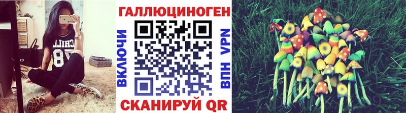 дарнет шоп  Туран  Галлюциногенные грибы прущие грибы 